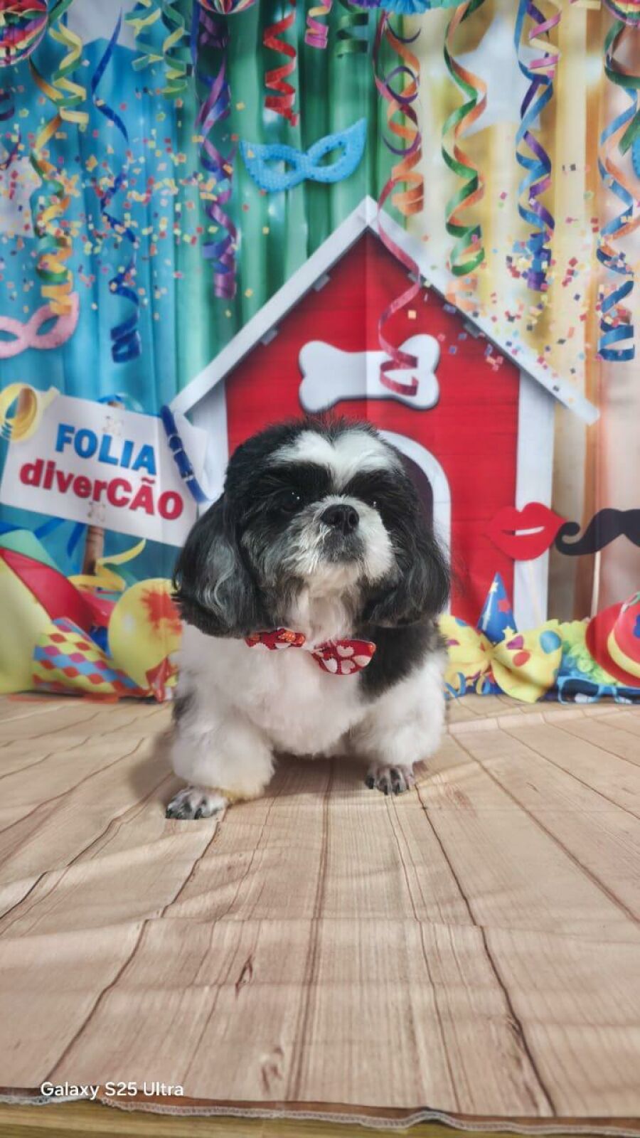 Imagem C8F1F3CE-F250-44AA-A1F1-6356E4B5ADF1